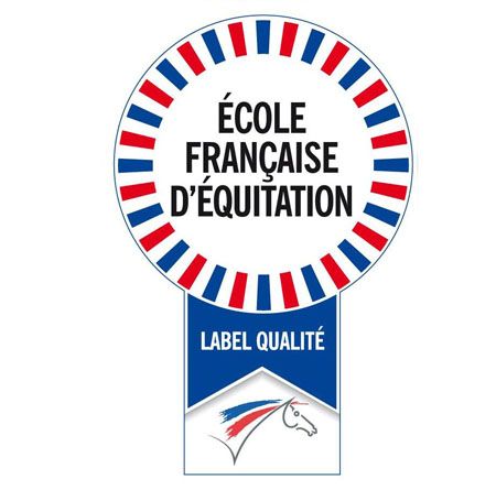 Odoo • Texte et Image