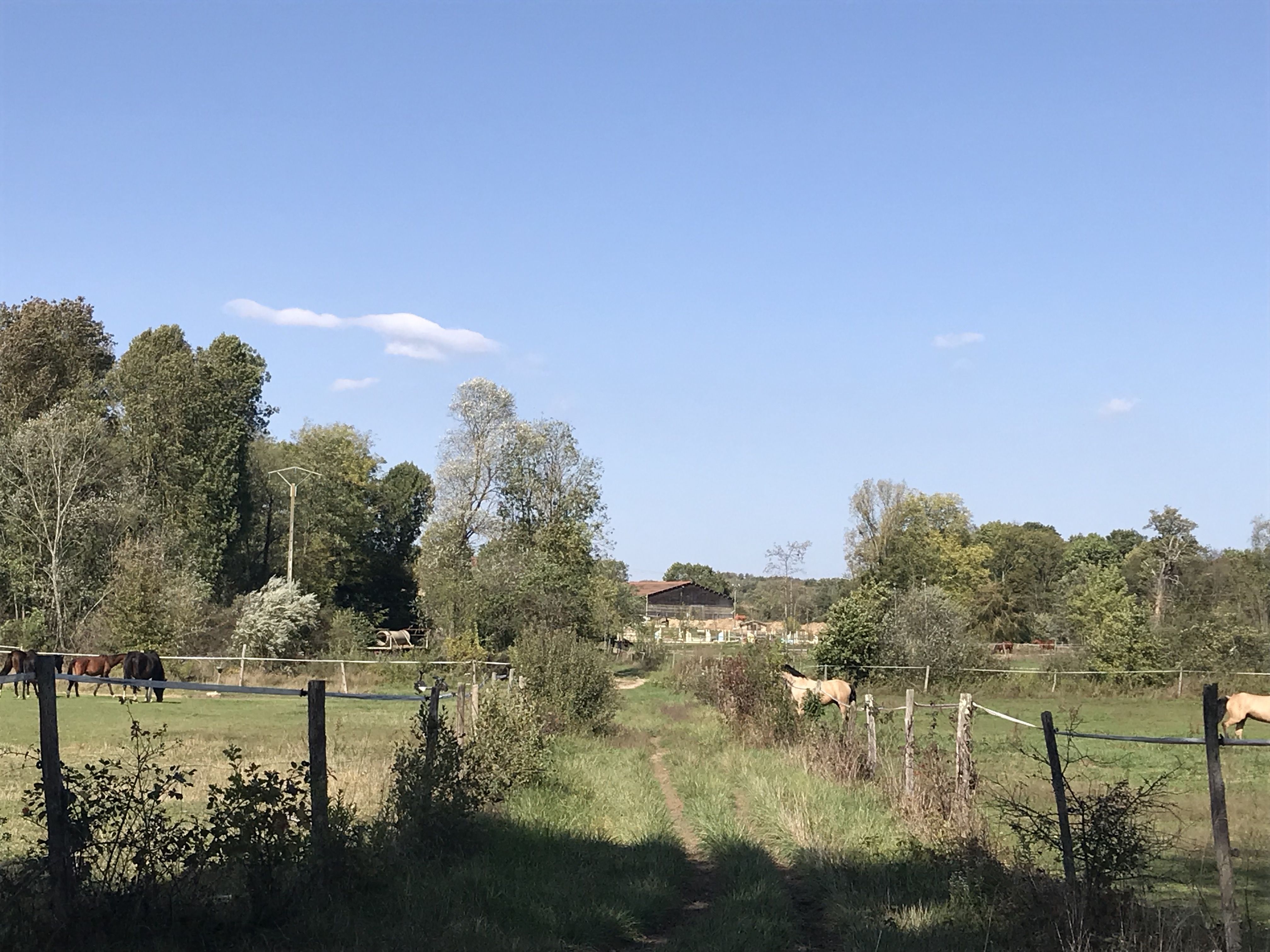 Image de diapositive