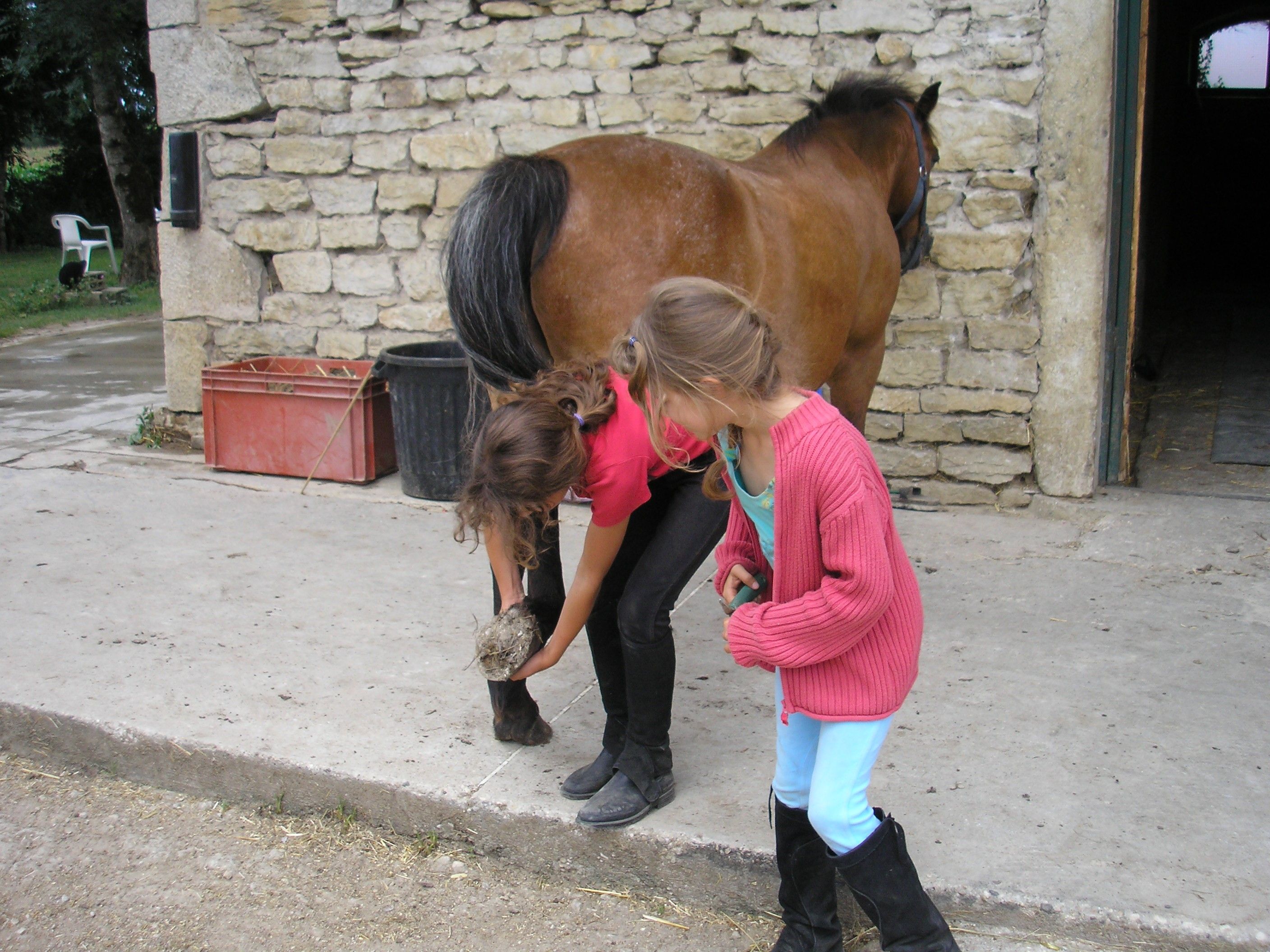 Image de diapositive