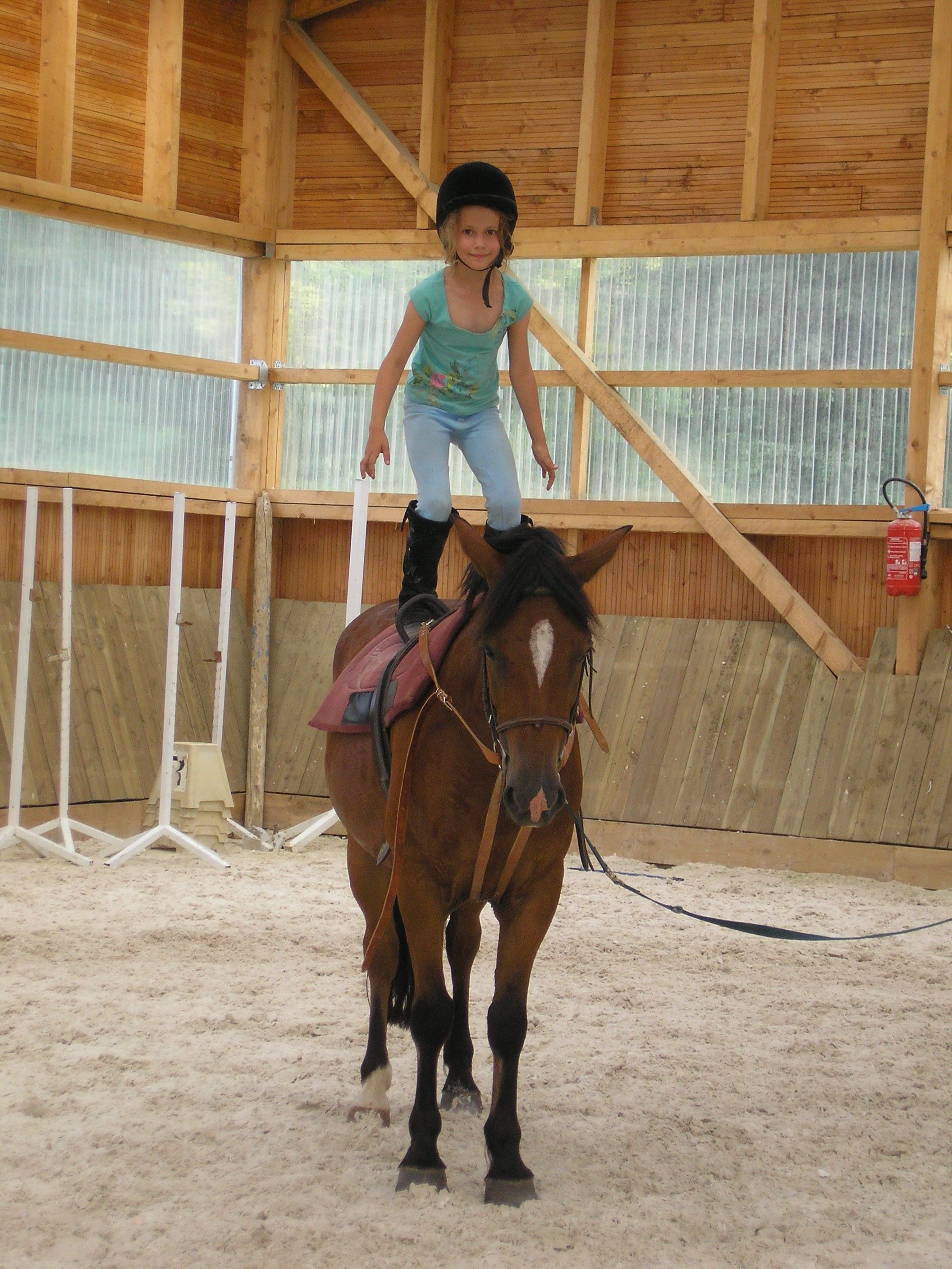 Odoo • Texte et Image